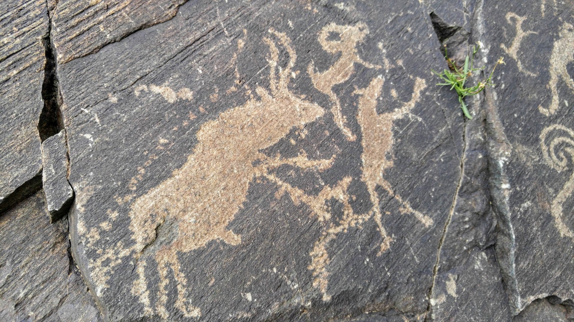 Petroglyphic Complexes of the Mongolian Altai — UNESCO World Heritage site rock carvings